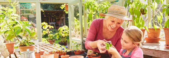 Zwei Personen beim Eintopfen in einem Gewächshaus